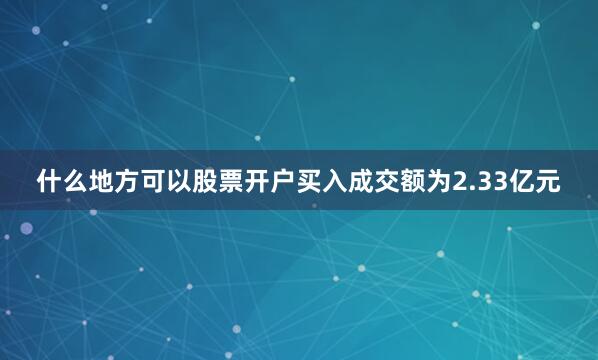 什么地方可以股票开户买入成交额为2.33亿元