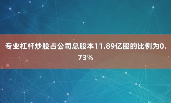 专业杠杆炒股占公司总股本11.89亿股的比例为0.73%