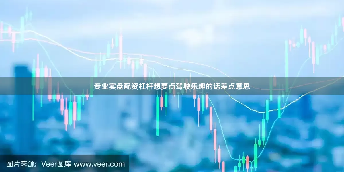 专业实盘配资杠杆想要点驾驶乐趣的话差点意思